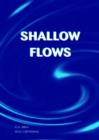 Image for Shallow Flows : Research Presented at the International Symposium on Shallow Flows, Delft, Netherlands, 2003