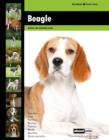 Image for Beagle
