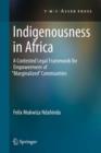 Image for Indigenousness in Africa  : a contested legal framework for empowerment of 'marginalized' communities