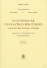 Image for Dictionnaire des racines semitiques Fascicule 3