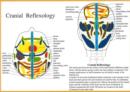 Image for Cranial Reflexology -- A4