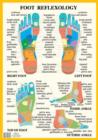 Image for Foot Reflexology -- A2