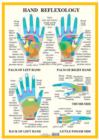 Image for Hand Reflexology -- A2