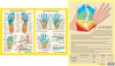 Image for Hand &amp; Foot Reflexology -- A4