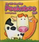Image for Yo L the F Peekaboo Fun Learning Words