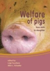 Image for Welfare of Pigs