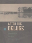 Image for After the deluge