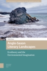 Image for Anglo-Saxon Literary Landscapes : Ecotheory and the Environmental Imagination