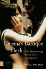 Image for Cinema&#39;s Baroque Flesh : Film, Phenomenology and the Art of Entanglement