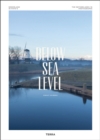 Image for Below sea level  : the Netherlands in photographs
