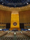 Image for United Nations