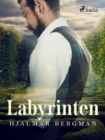 Image for Labyrinten