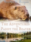 Image for Adventures of Paddy the Beaver