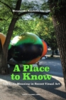 Image for A place to know  : aesthetic meaning in recent visual art