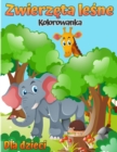 Image for Kolorowanka dla dzieci ze zwierzetami lesnymi