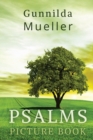 Image for Psalms Picture Book : 60 Psalms for the Elderly with Alzheimer&#39;s and Dementia Patients. Premium Pictures on 70lb Paper (62 Pages).