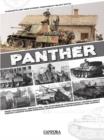 Image for Panther