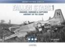 Image for Fallen Stars 1 : Crashed, Damaged &amp; Captured Aircraft of the USAAF