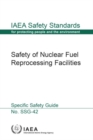 Image for Safety of Nuclear Fuel Reprocessing Facilities
