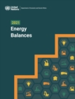 Image for 2021 Energy Balances