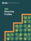 Image for 2021 Electricity Profiles