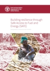 Image for Building Resilience Through Safe Access to Fuel and Energy (SAFE): Moving Towards a Comprehensive SAFE Framework