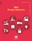 Image for 2016 Energy Balances
