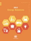Image for 2013 Energy Balances