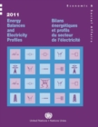Image for 2011 energy balances and electricity profiles