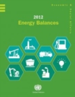 Image for 2012 Energy Balances