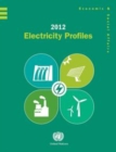 Image for 2012 electricity profiles