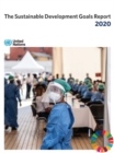 Image for The sustainable development goals report 2020