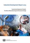 Image for Industrial development report 2013