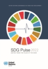 Image for SDG Pulse 2022 : UNCTAD Takes the Pulse of the SDGs