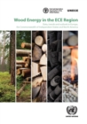 Image for Wood energy in the ECE region : data, trends and outlook in Europe, the commonwealth of independent states and North America