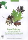 Image for Eco-efficiency : A Practical Path to Sustainable Development, A Reference for Eco-efficiency Partnership in North-East Asia