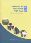 Image for Energy and Poverty in Viet Nam : Challenges and the Way Forward