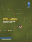 Image for Evaluation of disability-inclusive development at UNDP