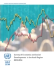 Image for Survey of economic and social developments in the Arab region 2013-2014