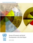 Image for Survey of economic and social developments in the Arab region 2015-2016