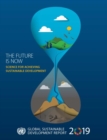 Image for Global sustainable development report 2019 : the future is now, science for achieving sustainable development