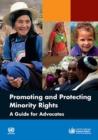 Image for Promoting and protecting minority rights