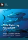 Image for Global mercury assessment 2013