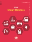 Image for 2016 energy balances