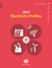 Image for 2016 electricity profiles