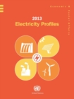 Image for 2013 electricity profiles