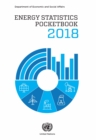 Image for Energy statistics pocketbook 2018