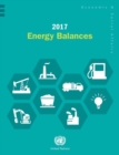 Image for 2017 energy balances
