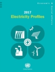 Image for 2017 electricity profiles