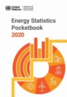 Image for Energy statistics pocketbook 2020